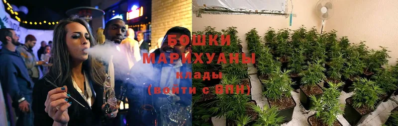 Канабис OG Kush  Славгород 